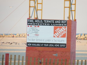 the ECO wood sign with the seagulls nearby