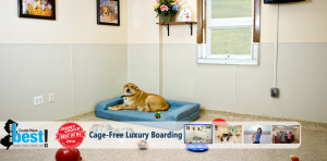 K9 Resorts Daycare & Luxury Hotels